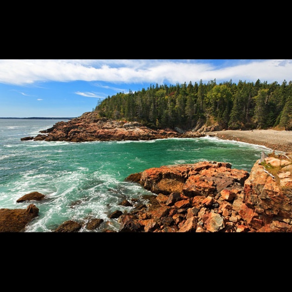 Meet your Posher, Tori